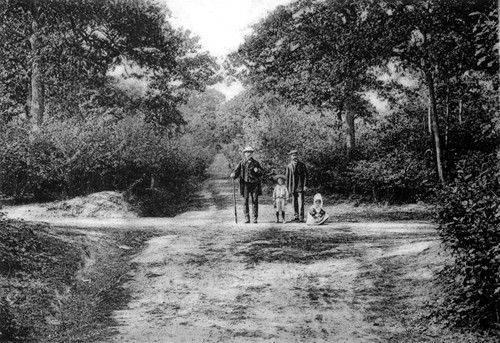 Bourne Wood and walkers in 1920