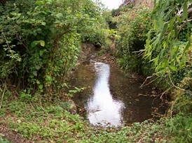 St Peter's Road