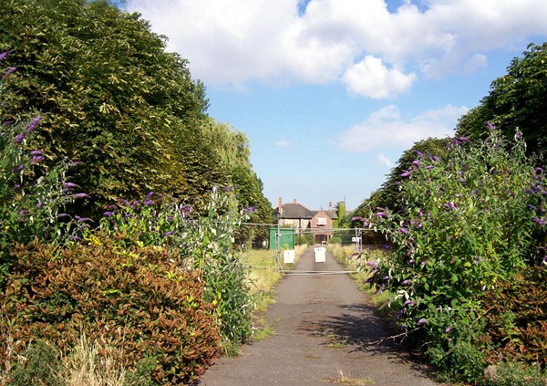 The Croft in July 2008