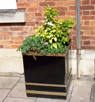 Flower tub in West Street