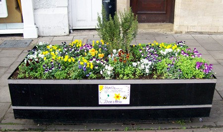 Photographed in December 2011