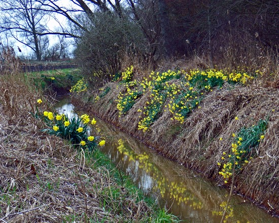 Photographed by Geoff Bell in March 2008