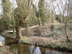 Photograph courtesy Nelly Jacobs