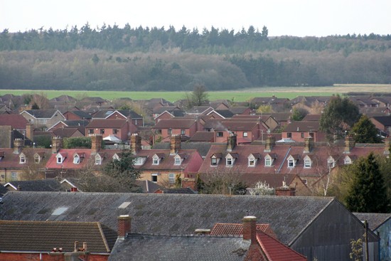 Woodview and Bourne Wood beyond