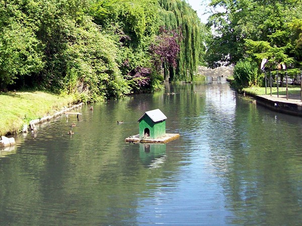 Duck house on the Bourne Eau