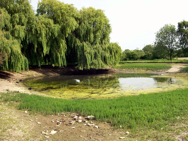 St Peter's Pool