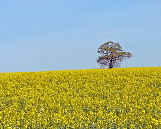 Photograph from 2010 courtesy Geoff Bell