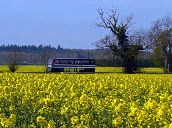 Photographed in 2011 by Geoff Bell