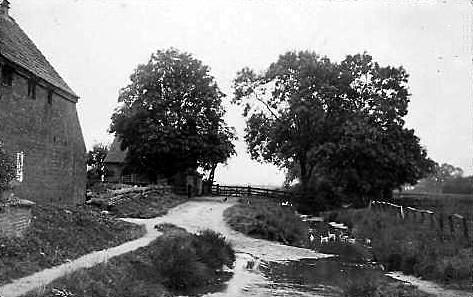 Photographed in 1908