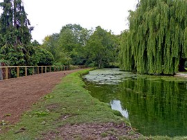 Photographed by Geoff Bell in September 2013