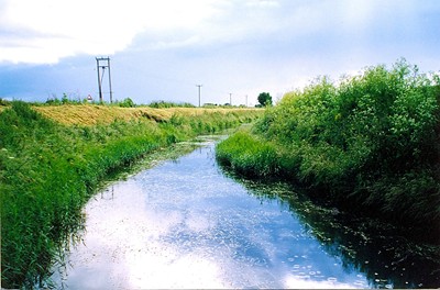 Photographed in September 1999 by Rex Needle