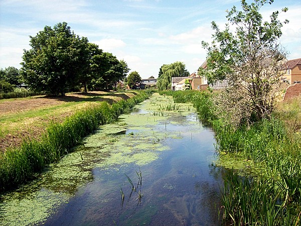 The Bourne Eau behind Eastgate