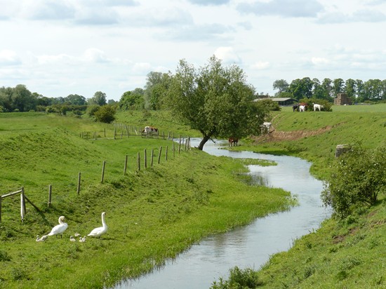 Photograph from June 2012 courtesy Geoff Bell