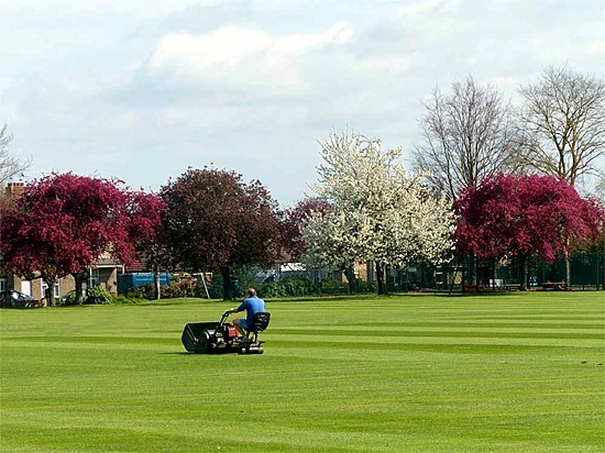 Photographed by Geoff Bell in April 2014