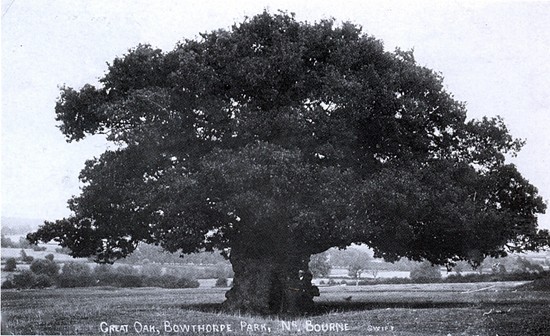 Photographed in 1906