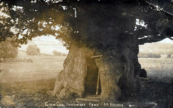 Photographed in 1906