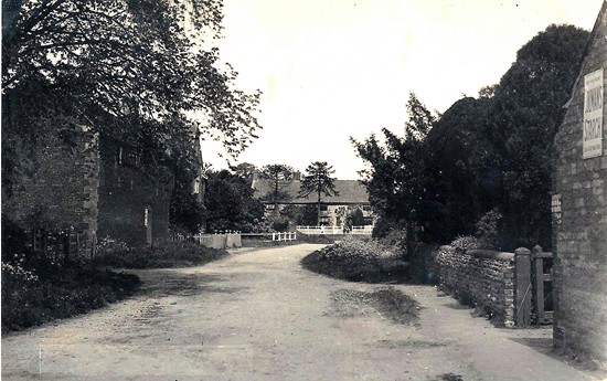 Photographed in 1900