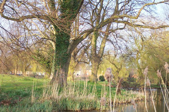 The Wellhead gardens from the north