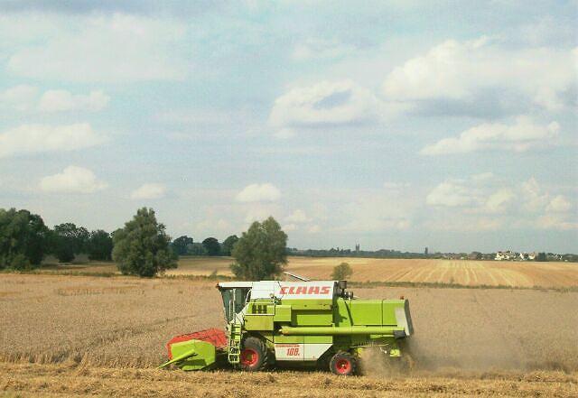 Combining wheat near Bourne