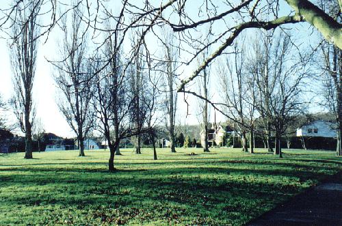 Photographed in early winter 1999