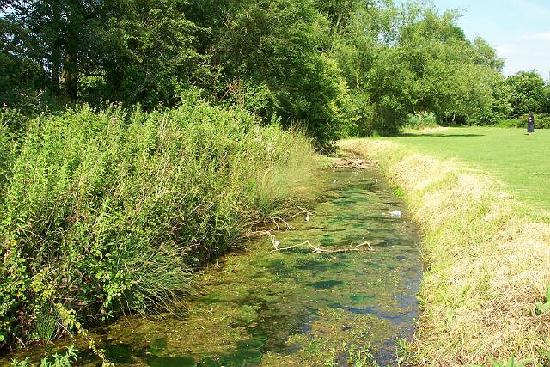 Bourne Eau near the Wellhead