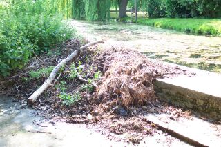 Rubbish behind Baldock's Mill