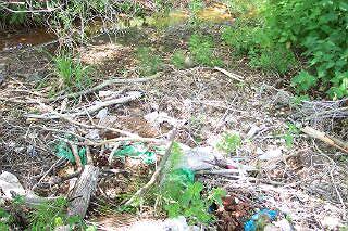 Bourne Eau rubbish near cress beds