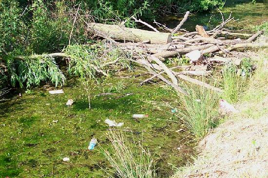 Bourne Eau rubbish behind mill