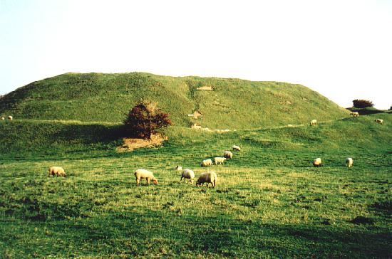 Castle remains