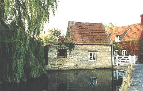 The village pond