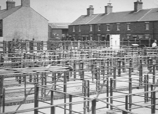 Animal pens at the cattle market