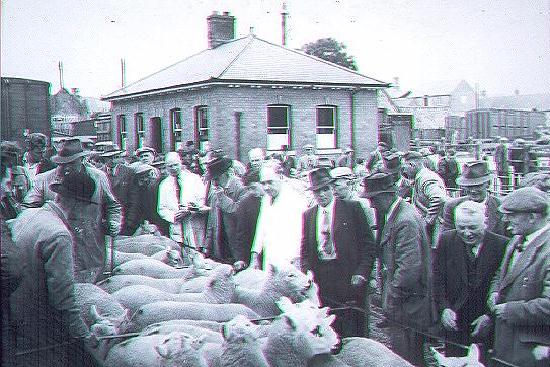 Sheep sale in 1970