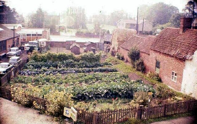 Mrs Gray's smallholding