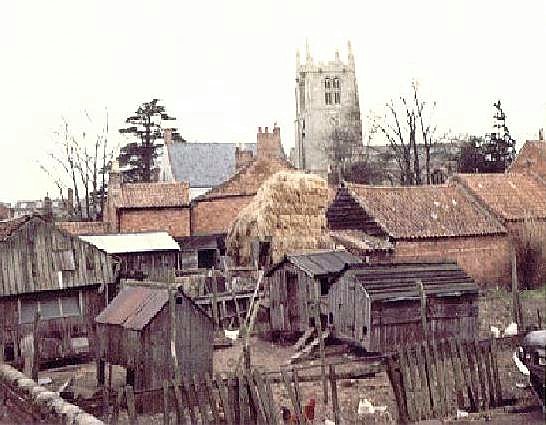 Mrs Gray's smallholding