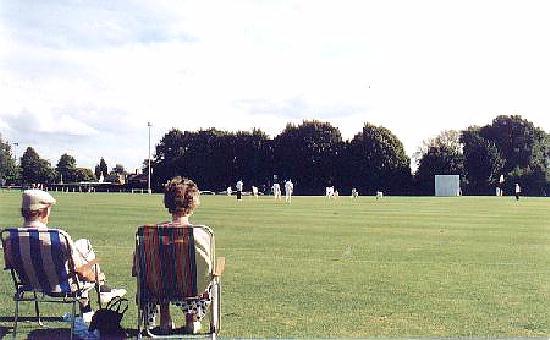 Watching cricket