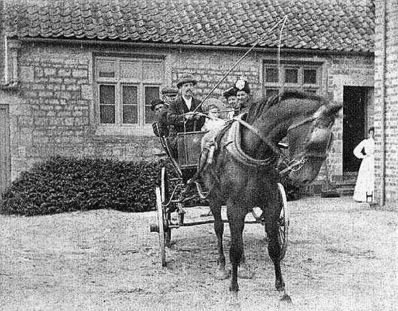 George Wilson with horse and carriage