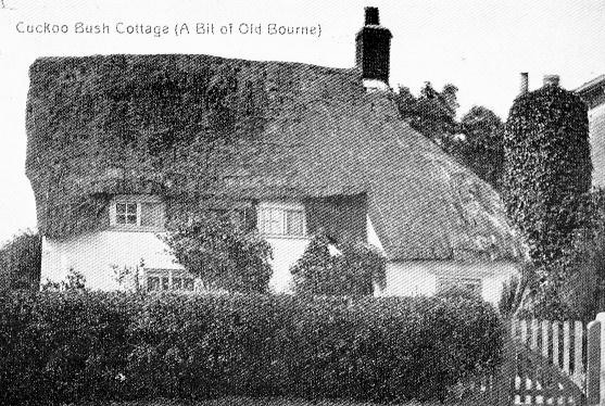 Cuckoo Bush cottage