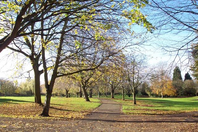 Autumn in the Wellhead Gardens