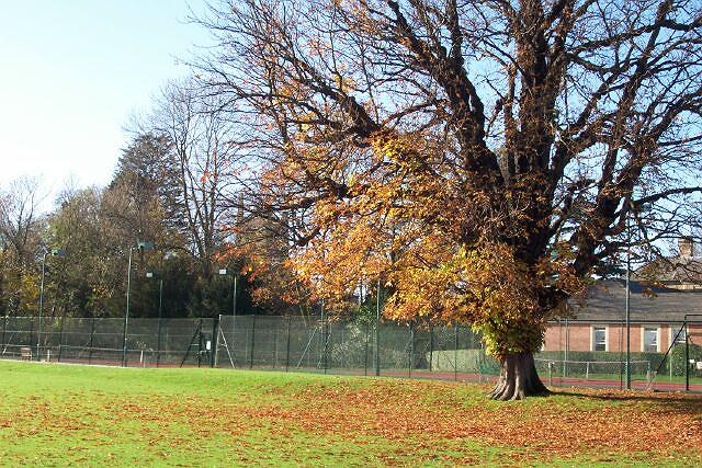 Abbey Lawn in autumn.