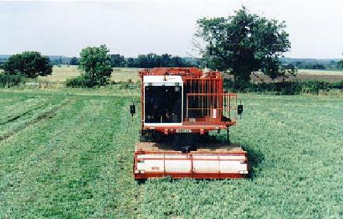 Pea harvester in action