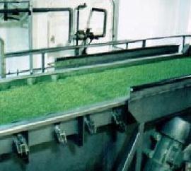 Pea processing