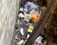 Litter in Wherry's Lane