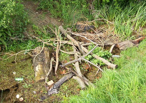 Rubbish in the Bourne Eau