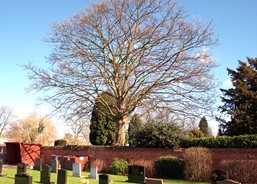 Cemetery wall in March