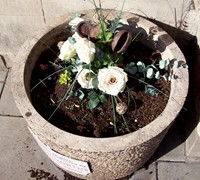 Plastic flowers in North Street