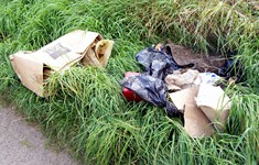 Roadside rubbish