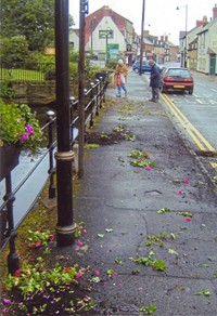 Vandalised floral display