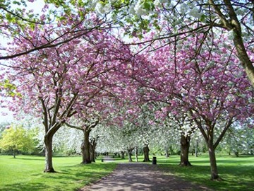Photographed by Rex Needle in 2011
