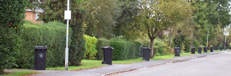 Wheelie bins in Mill Drove awaiting collection