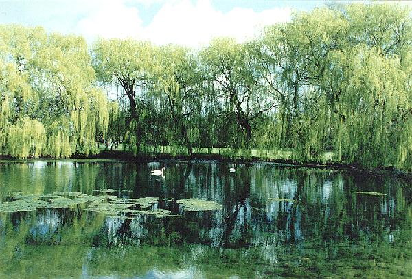 St Peter's Pool in summer